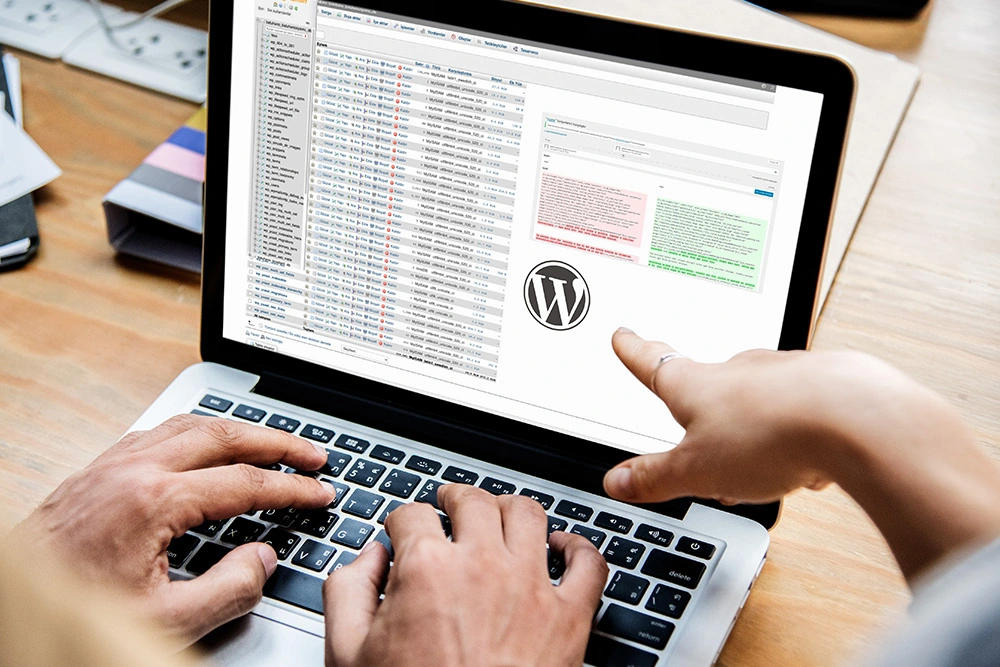 wordpress yazı sürümlerini kapatmak